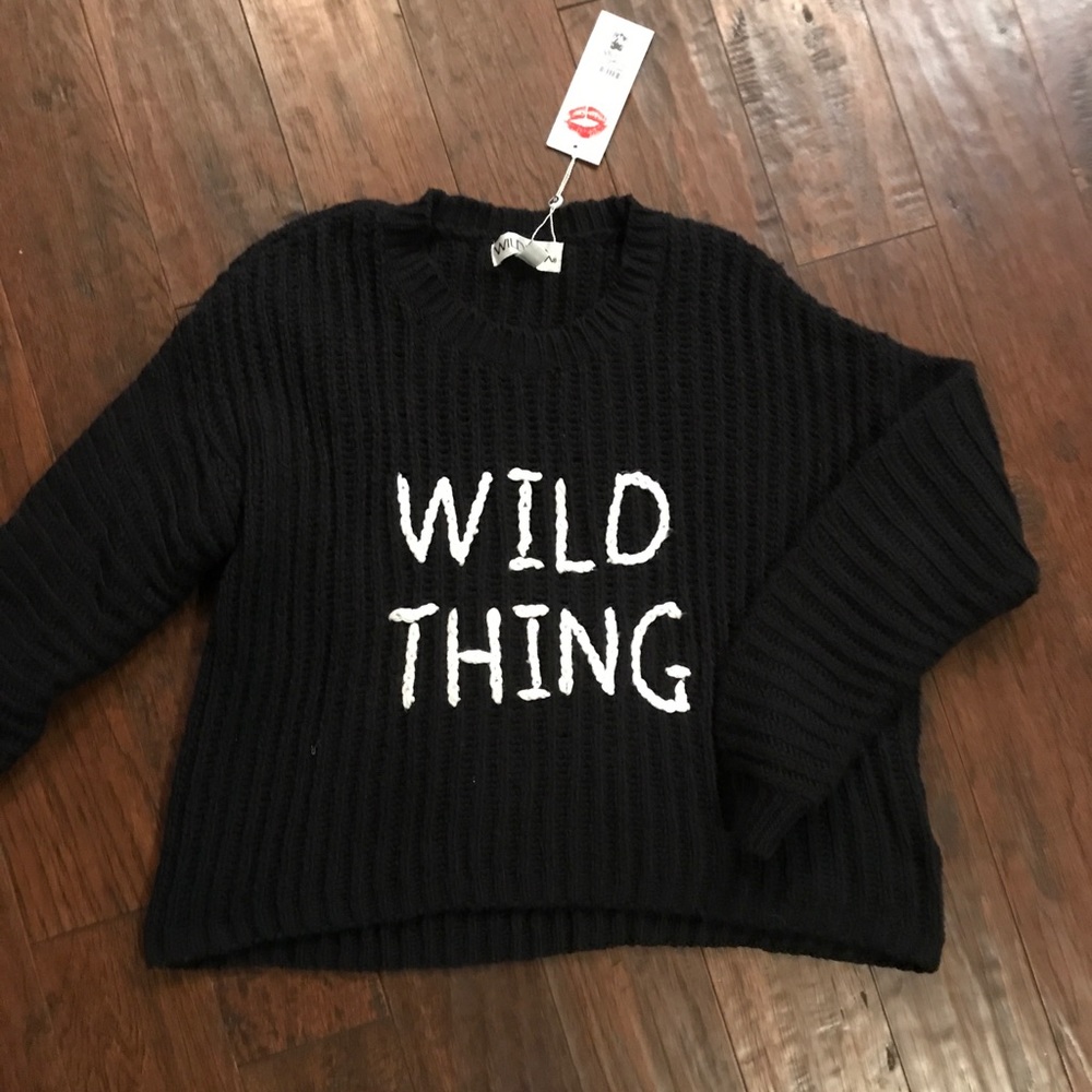 WildFox Wild Thing Knit sweater.
